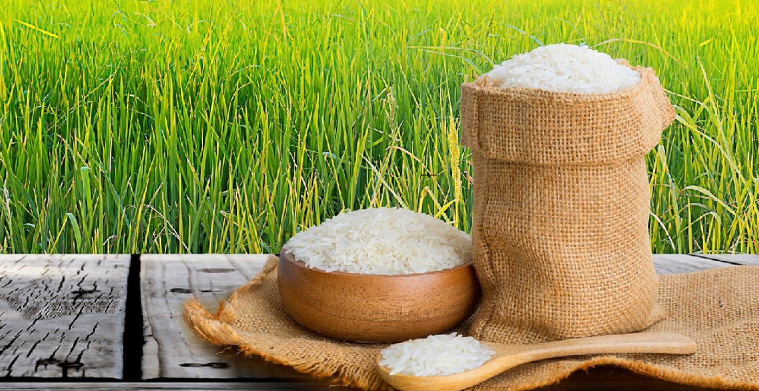 RICE EXPORT
